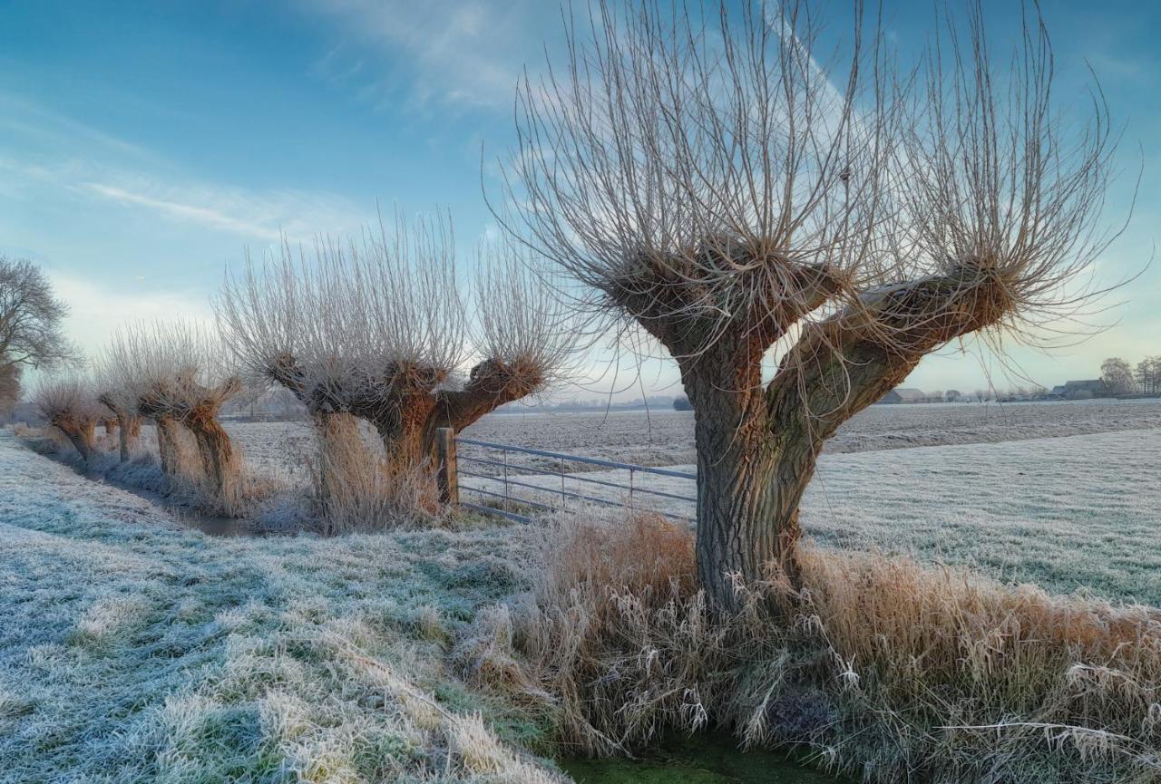 Van Abelshoeve Gieterveen Dış mekan fotoğraf